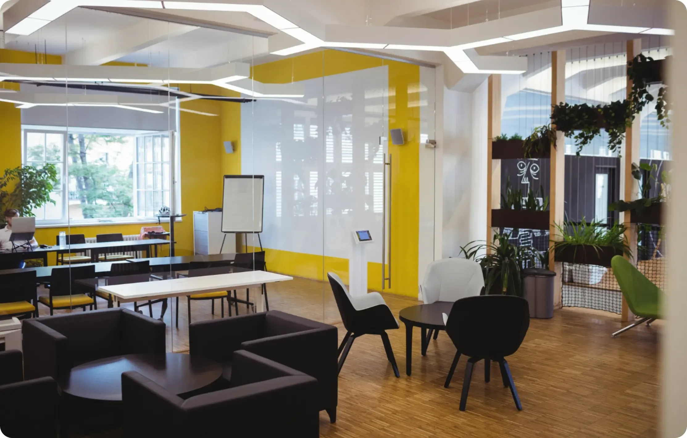 A weDevs office retreat workspace